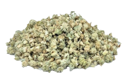 Why Gokhuru small is good for diabetic patients?